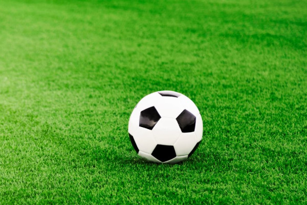 Soccer Field