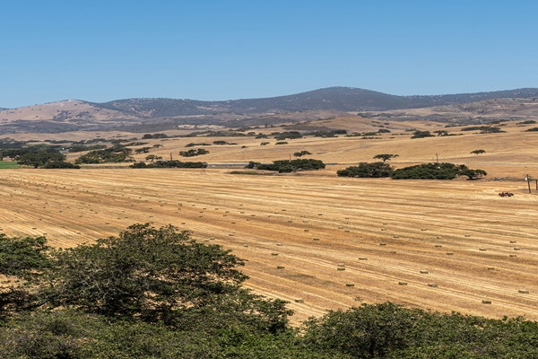 San Lorenzo
