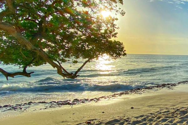 Island