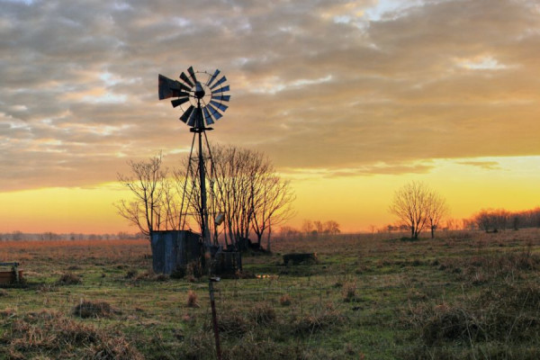 Beaumont