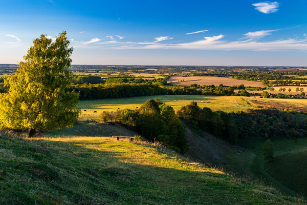 Bedfordshire