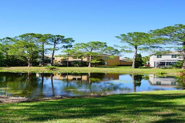 Pine Hills