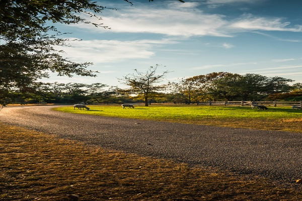 Round Top