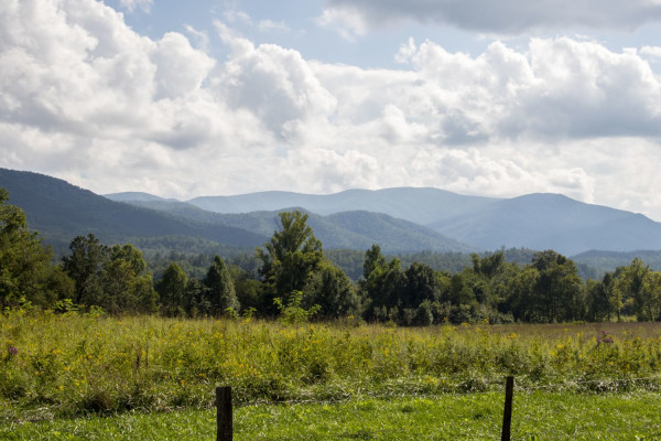 Waynesboro