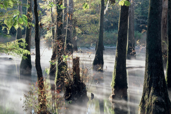Pascagoula