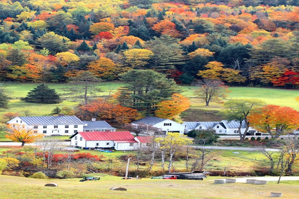 Abington