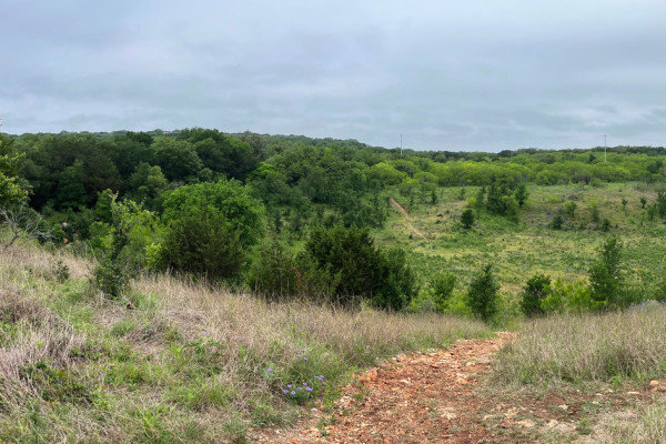 San Marcos
