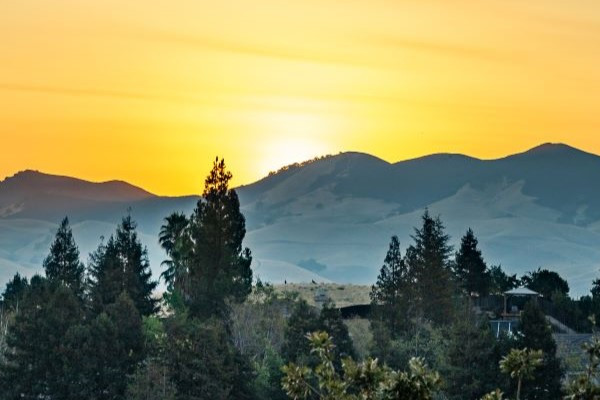 Walnut Creek