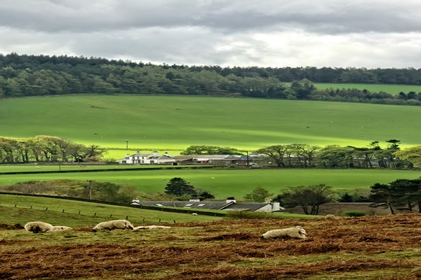 Peeblesshire