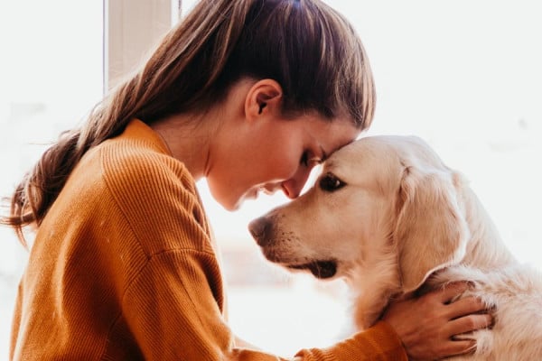 Animal Therapy