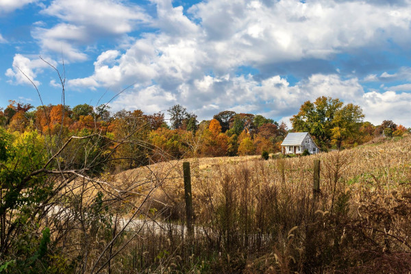 West Frankfort