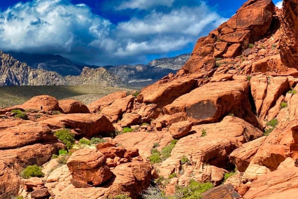 Nevada