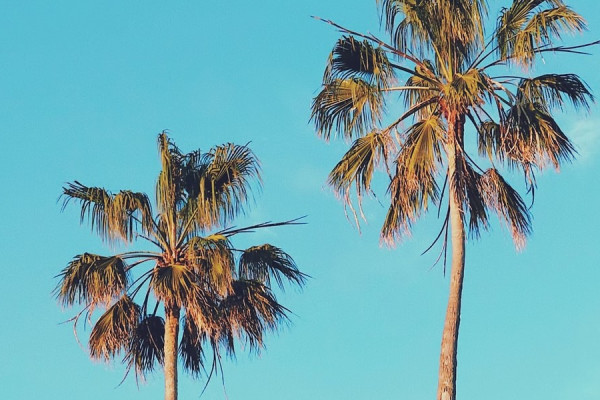 Encino