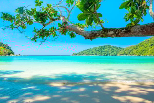 Tropical