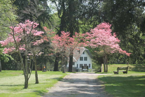 Briarcliff Manor