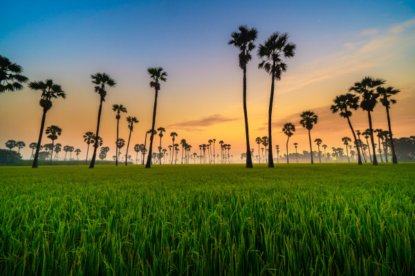 Southeast Asia
